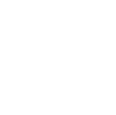 VDSS Logo